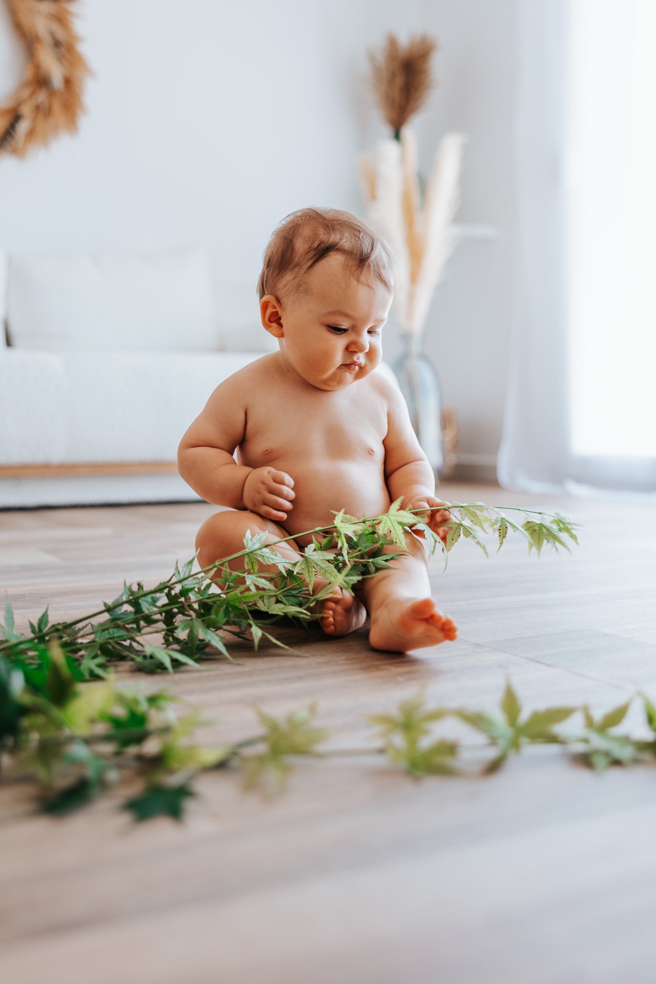 Bébé home studio